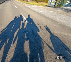 2025-11-30 Winterrung Graz Rentiere - GOPR0382